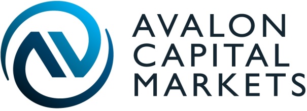 
      Avalon Capital Markets
    